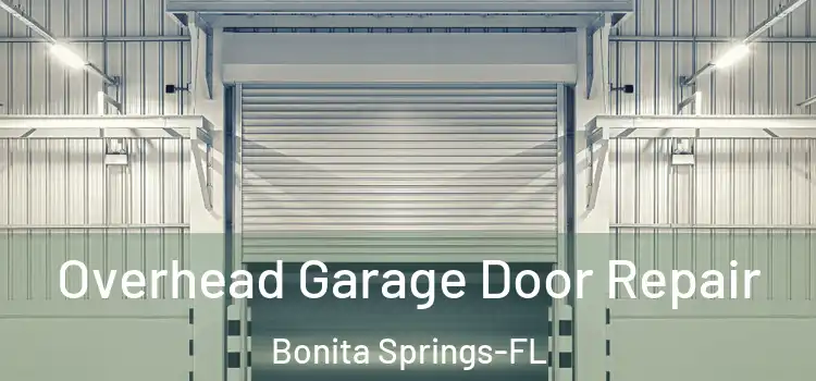 Overhead Garage Door Repair Bonita Springs-FL